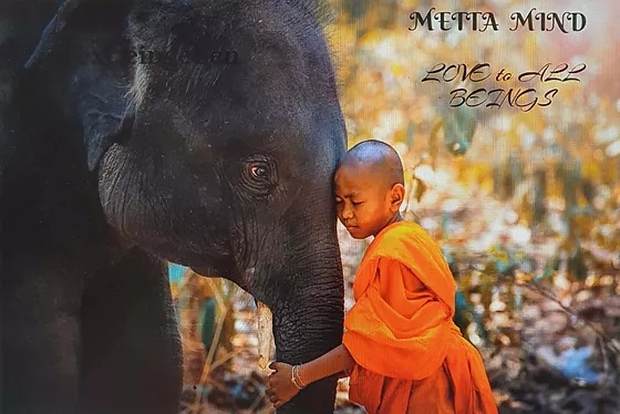 Không thấy người đồ tể nào được hưởng tài sản lớn